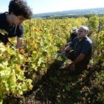 2014-10-18-Courdemanche_Vendanges_JB_Métais (67)